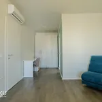 Miku - Luxurious 2bedroom At Olympic * 티라나